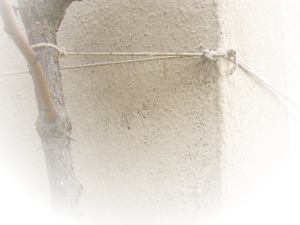 Impressum. Schnur zwischen einer Wand und einem Baum gespannt